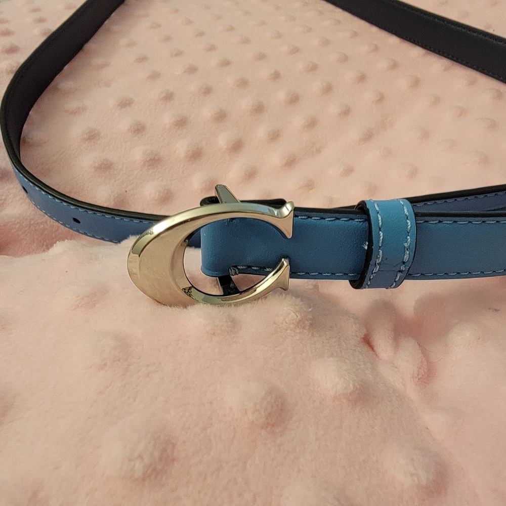 Coach belt